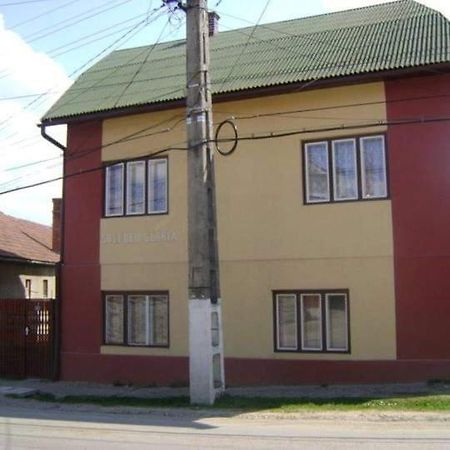 Pensiunea Shalom Sîncraiu Exterior foto