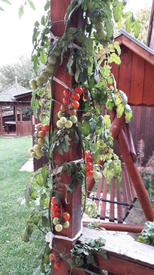 Pensiunea Shalom Sîncraiu Exterior foto